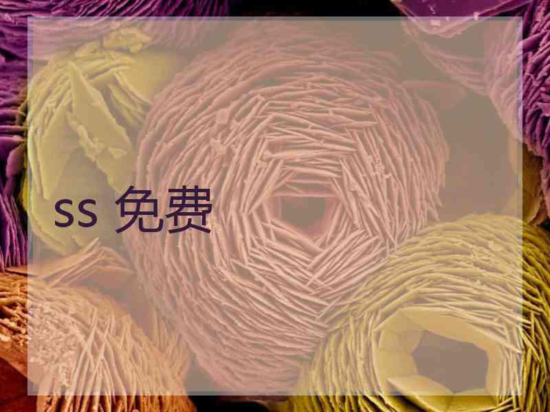 ss 免费