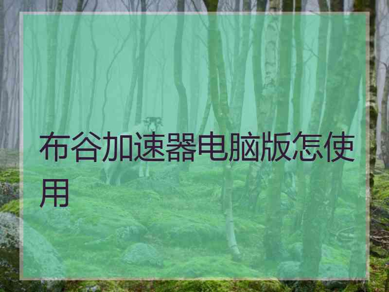 布谷加速器电脑版怎使用
