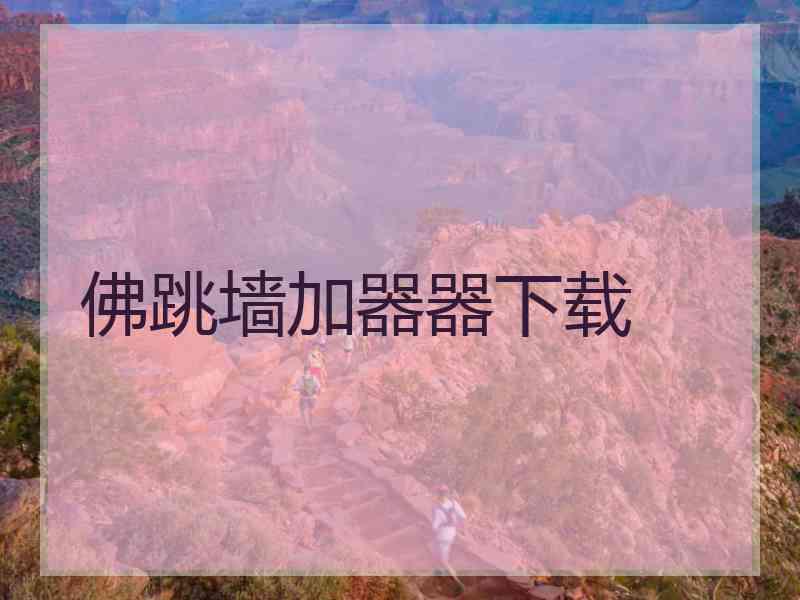 佛跳墙加器器下载