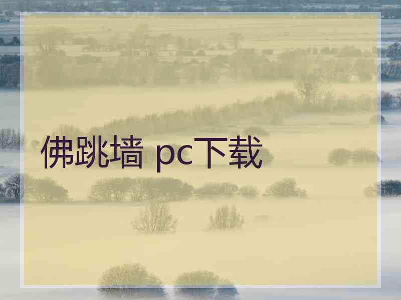 佛跳墙 pc下载