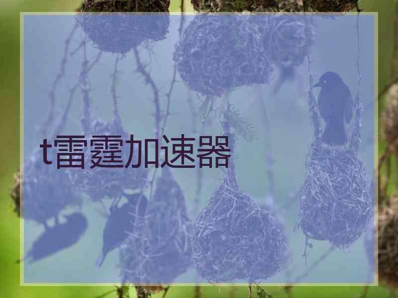 t雷霆加速器