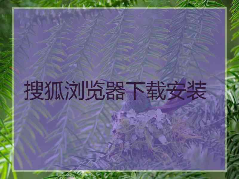 搜狐浏览器下载安装