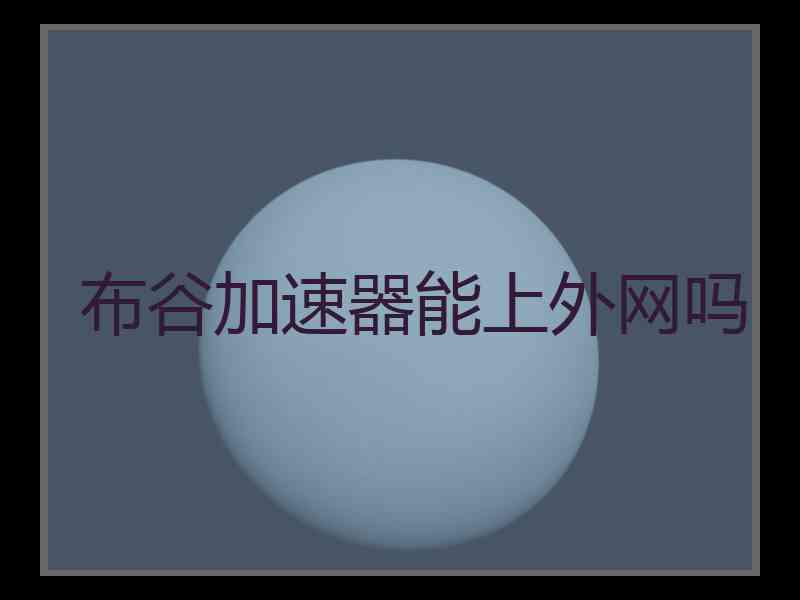 布谷加速器能上外网吗