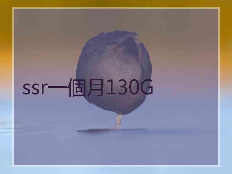 ssr一個月130G