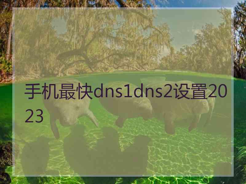 手机最快dns1dns2设置2023