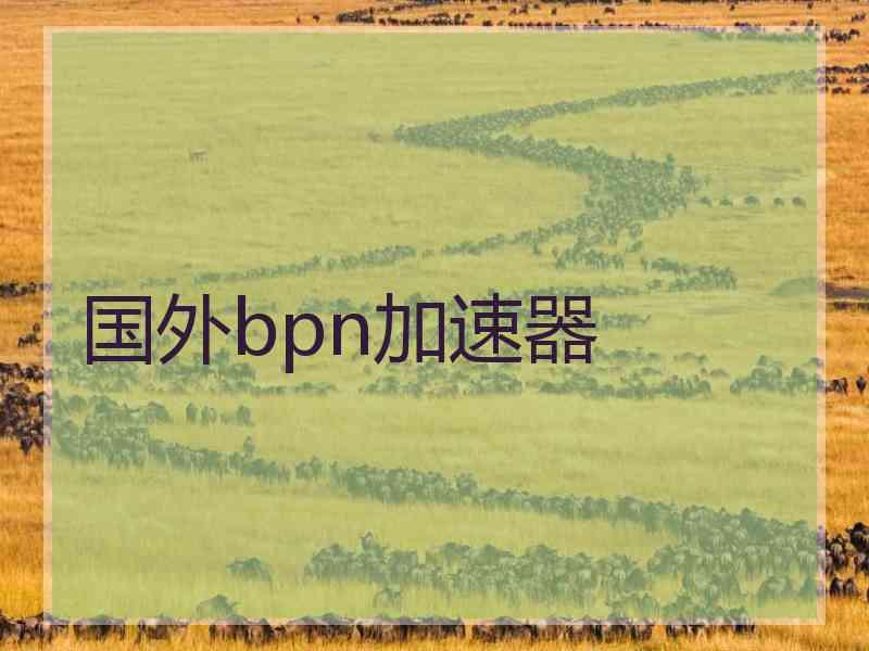 国外bpn加速器