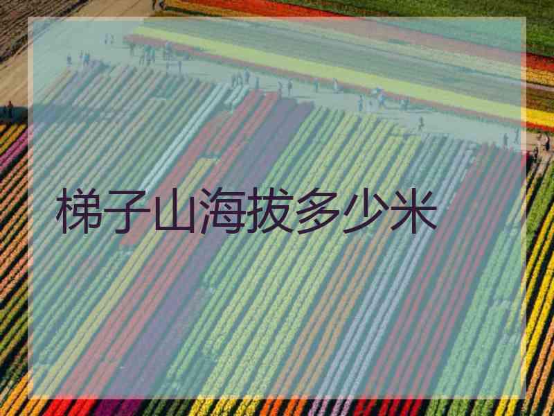 梯子山海拔多少米
