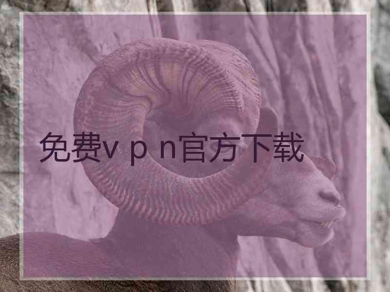 免费v p n官方下载