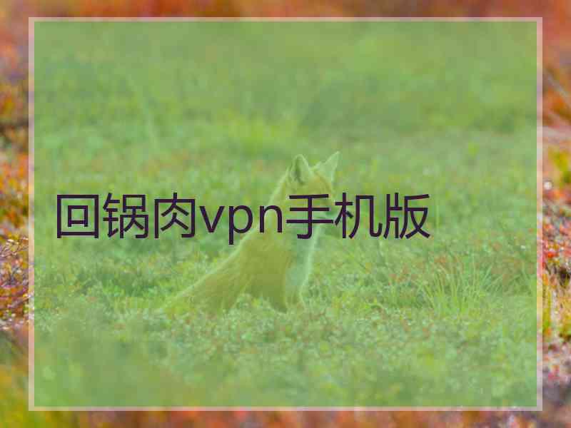 回锅肉vpn手机版