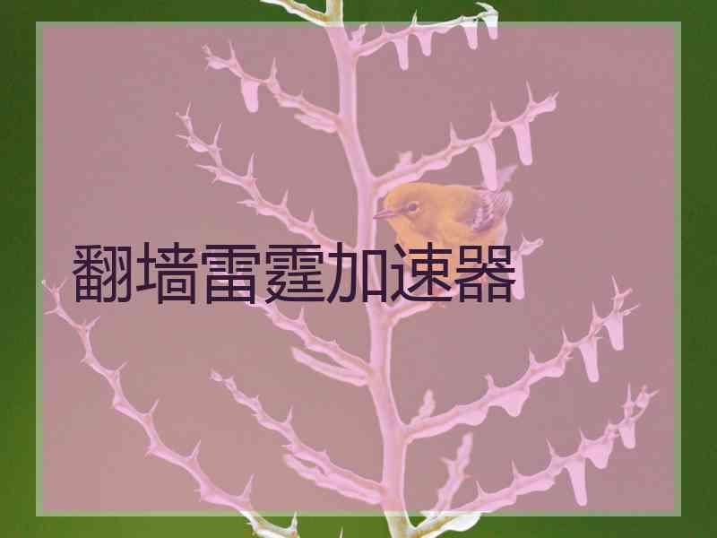 翻墙雷霆加速器