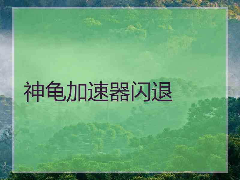 神龟加速器闪退