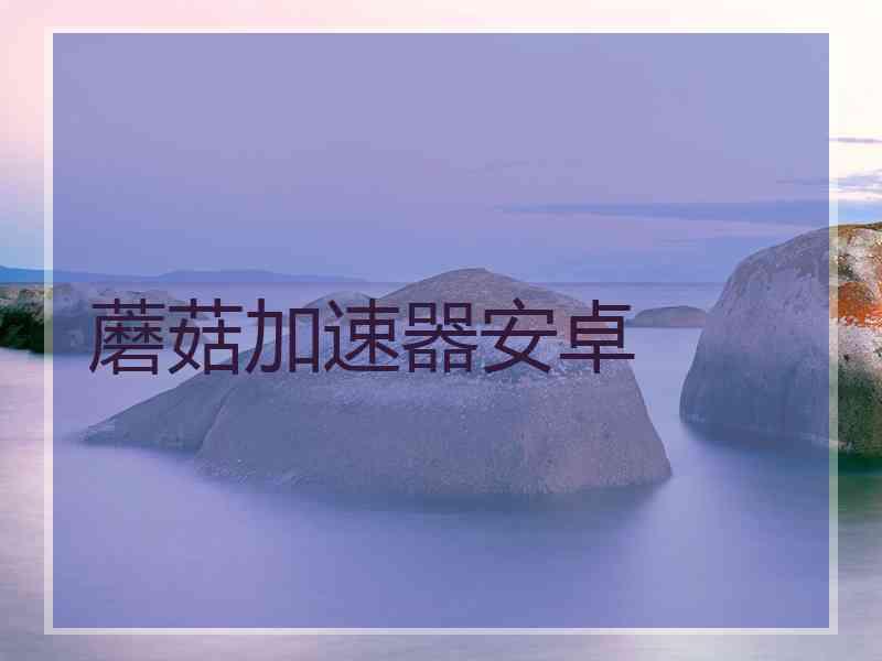 蘑菇加速器安卓