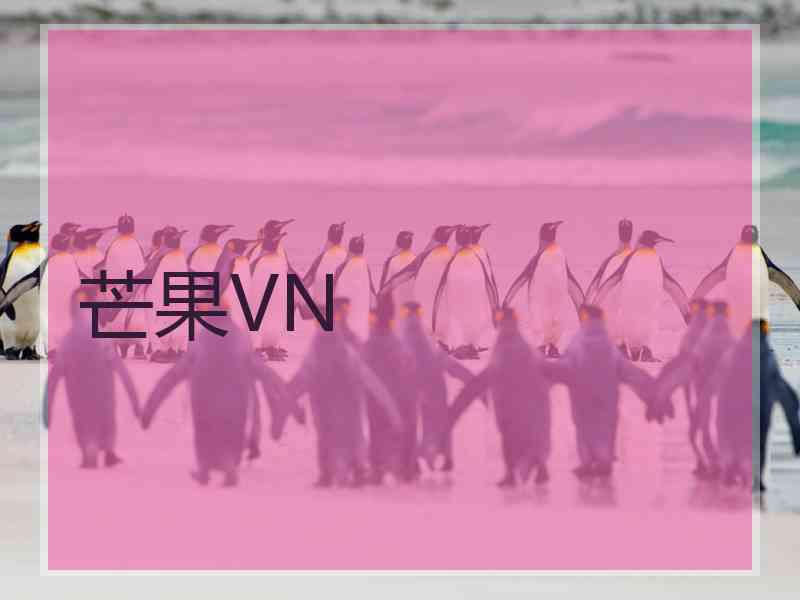 芒果VN