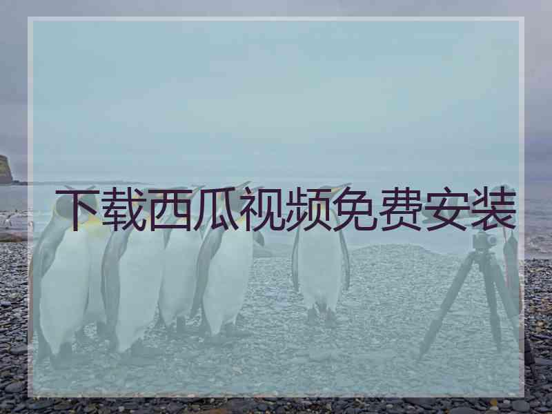 下载西瓜视频免费安装