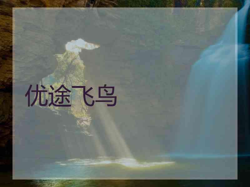 优途飞鸟