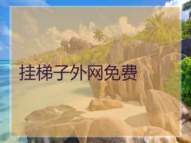 挂梯子外网免费