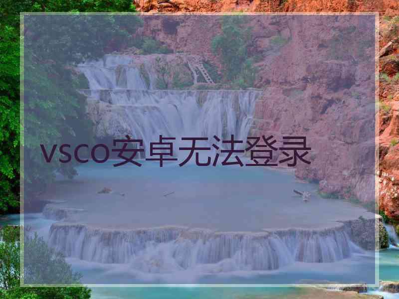 vsco安卓无法登录
