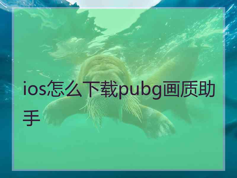 ios怎么下载pubg画质助手