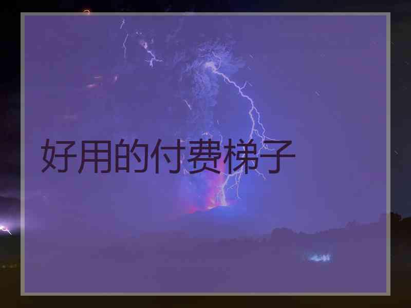 好用的付费梯子