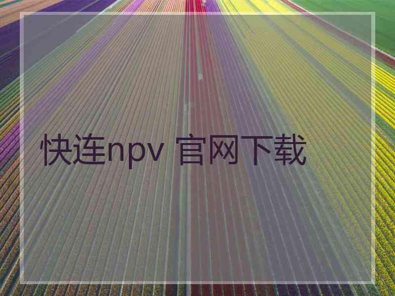 快连npv 官网下载