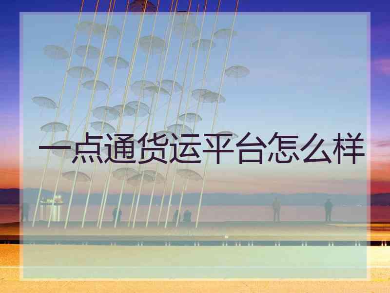 一点通货运平台怎么样