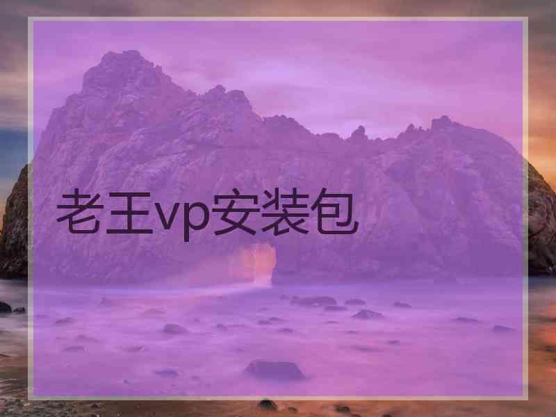 老王vp安装包