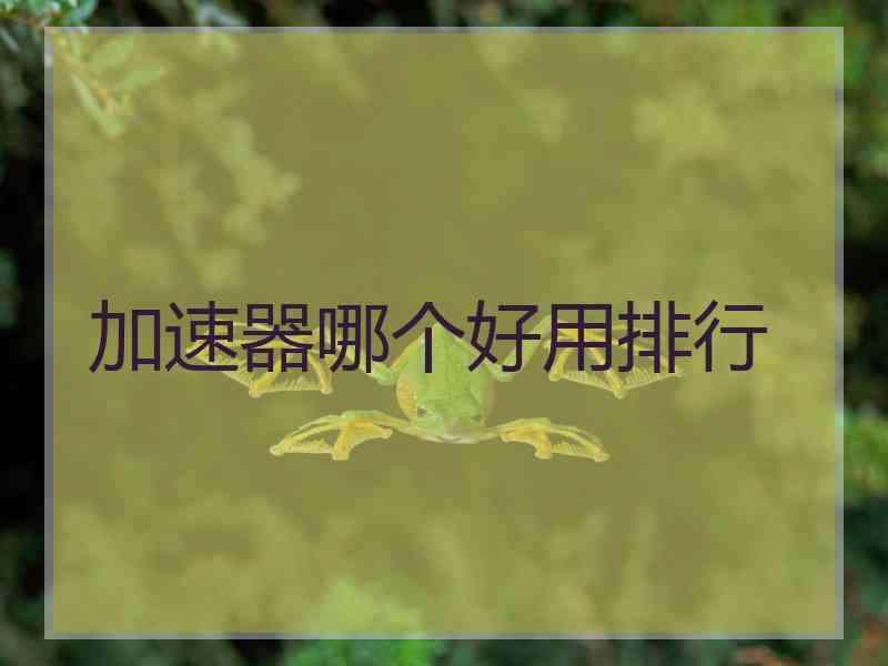 加速器哪个好用排行