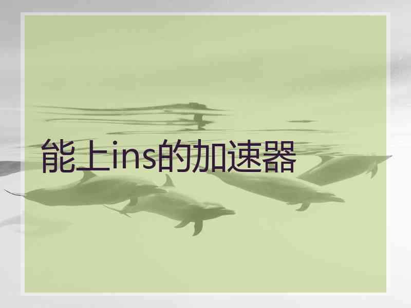 能上ins的加速器