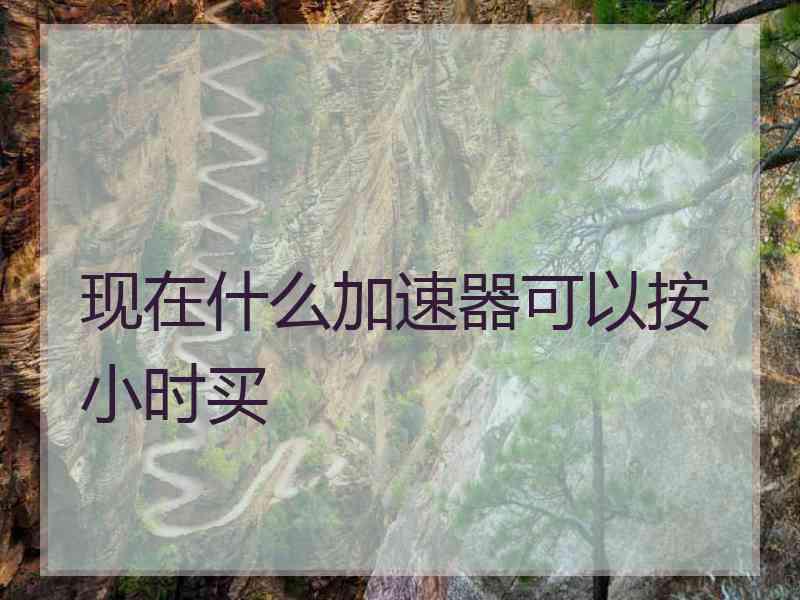 现在什么加速器可以按小时买
