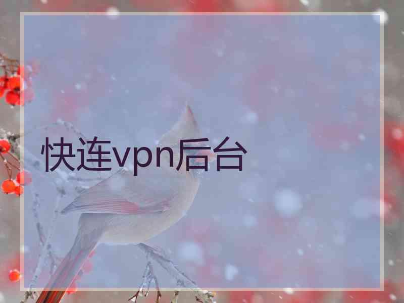 快连vpn后台