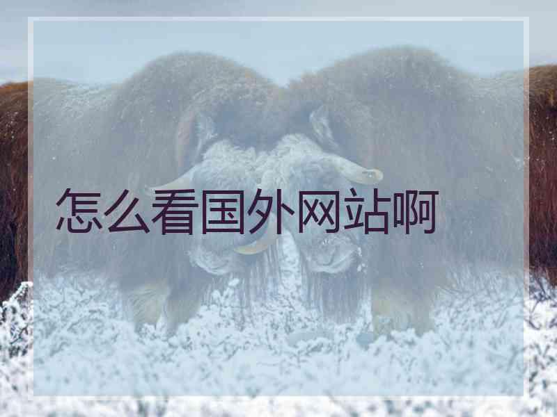怎么看国外网站啊