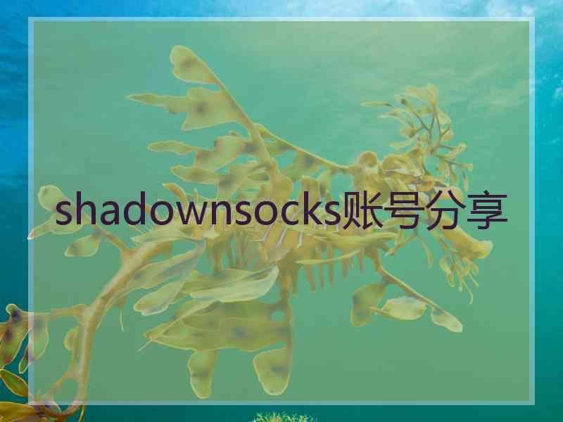 shadownsocks账号分享