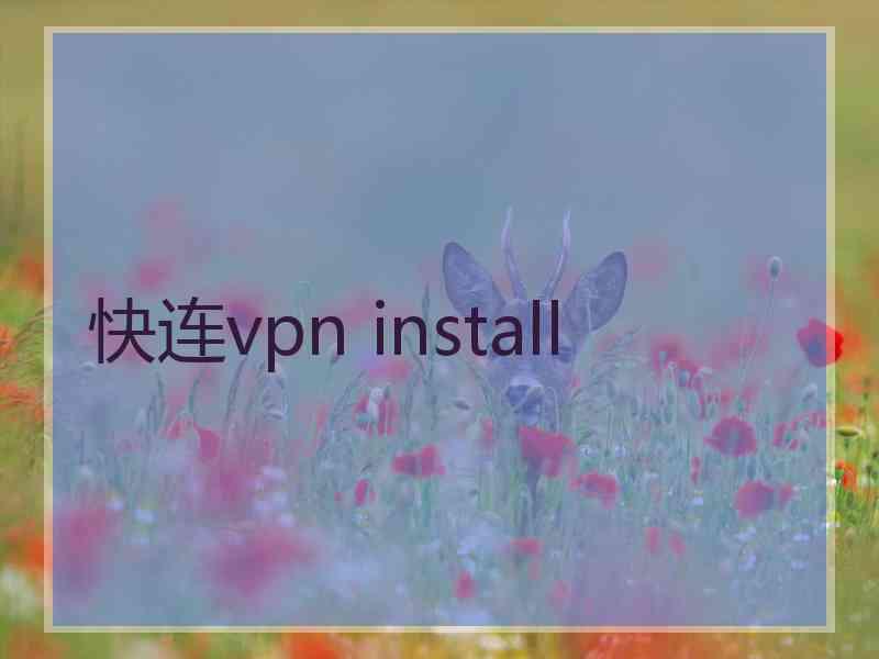 快连vpn install
