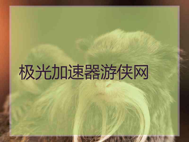 极光加速器游侠网
