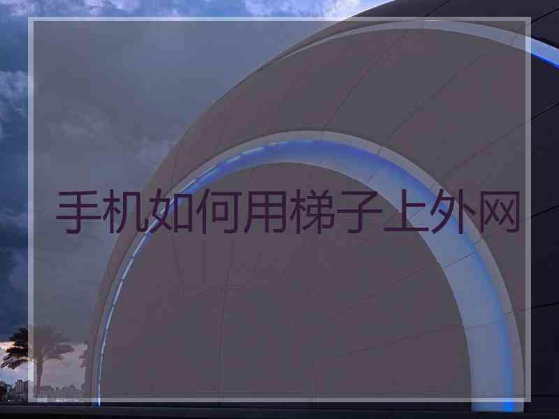 手机如何用梯子上外网