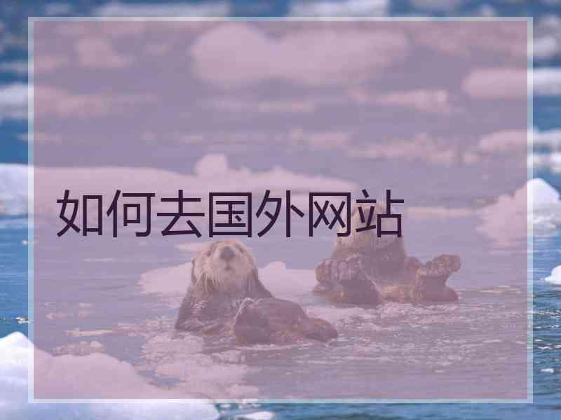 如何去国外网站