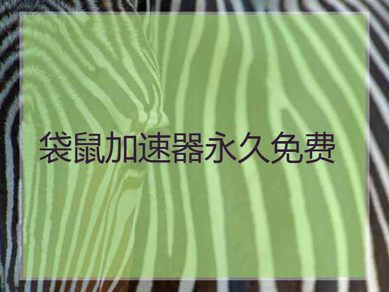 袋鼠加速器永久免费
