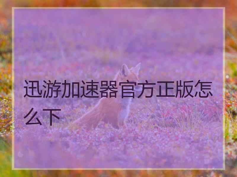迅游加速器官方正版怎么下