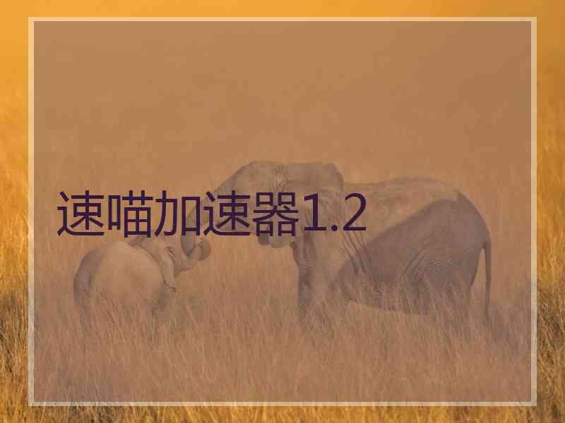 速喵加速器1.2