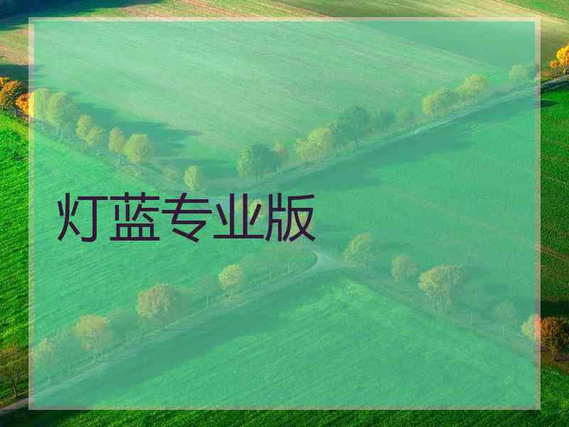 灯蓝专业版