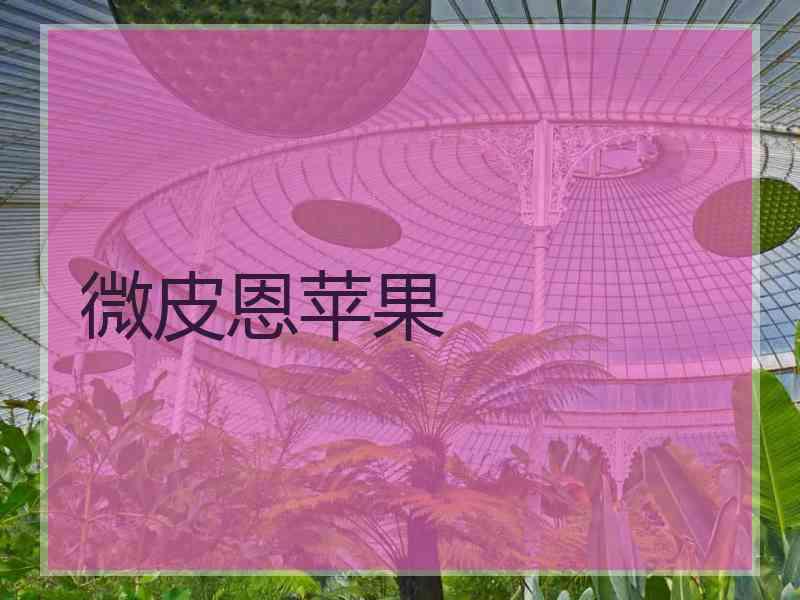 微皮恩苹果