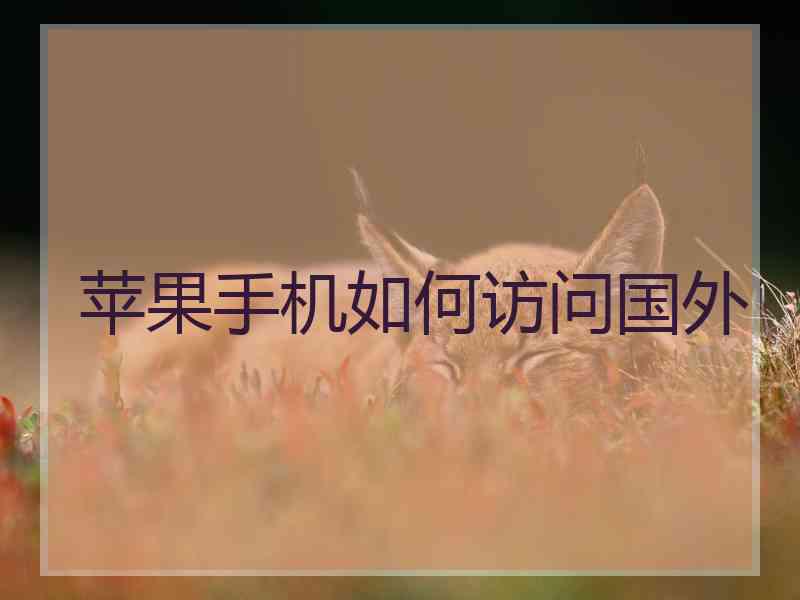 苹果手机如何访问国外