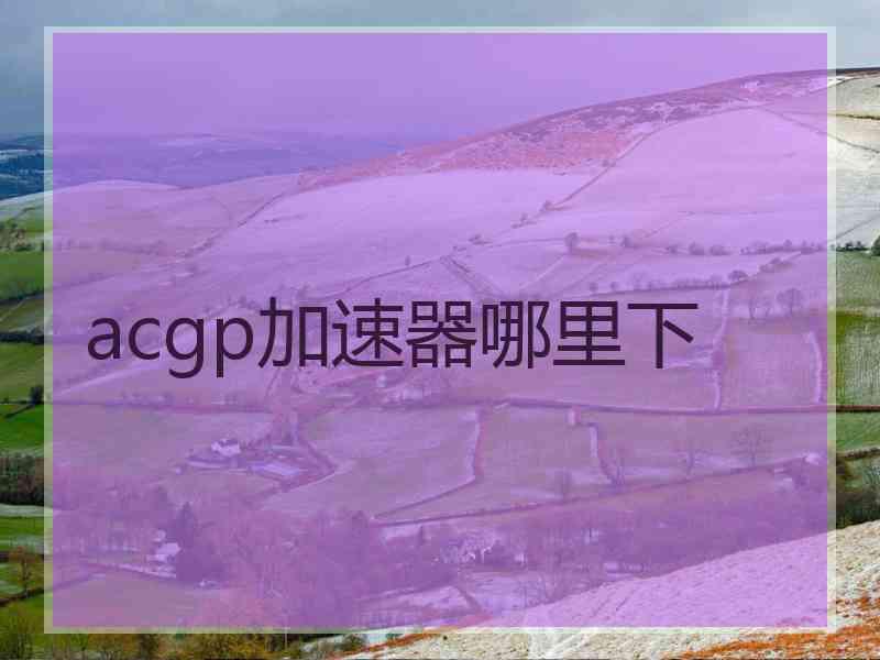 acgp加速器哪里下