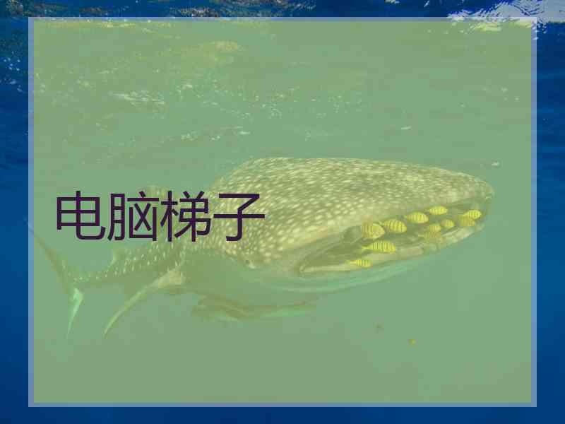 电脑梯子