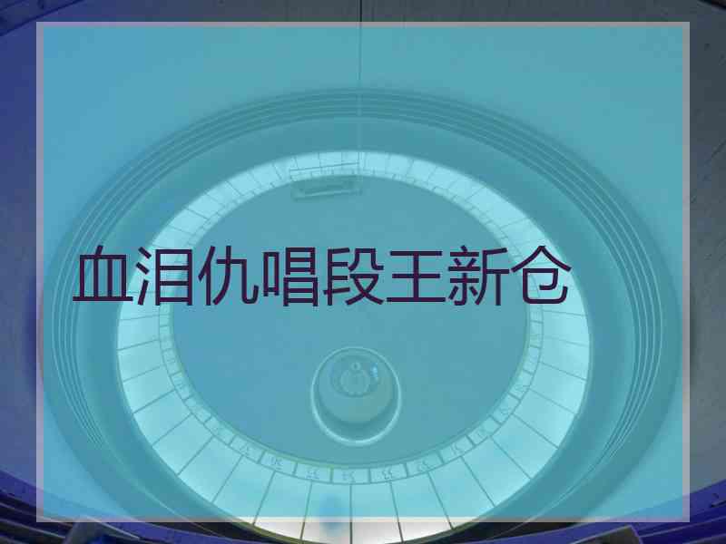 血泪仇唱段王新仓