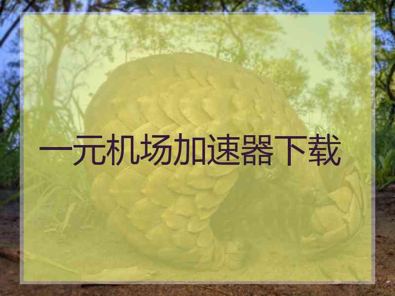 一元机场加速器下载
