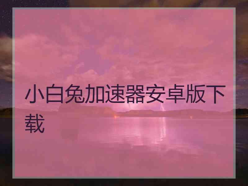 小白兔加速器安卓版下载