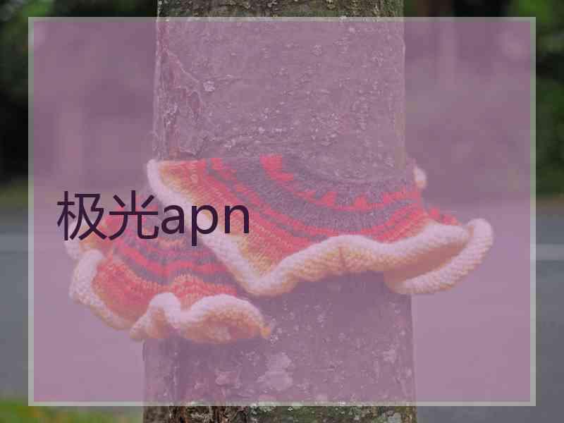 极光apn
