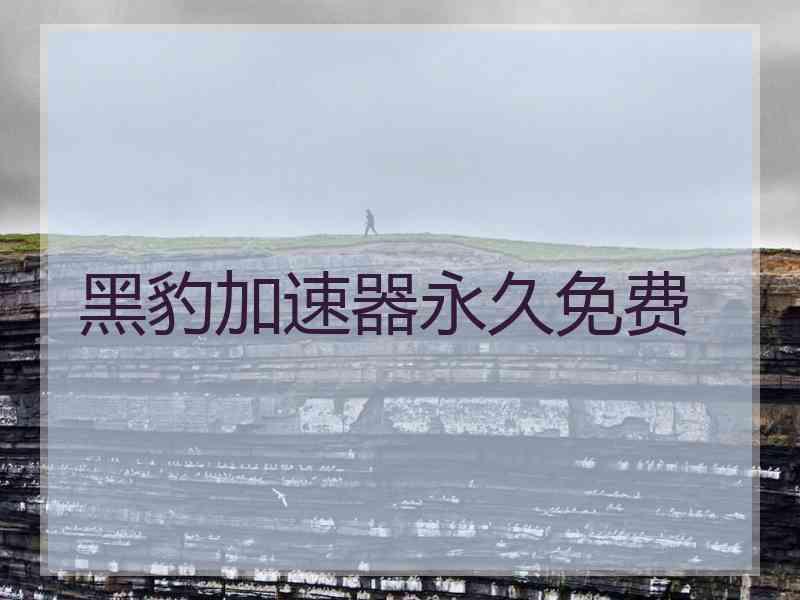 黑豹加速器永久免费