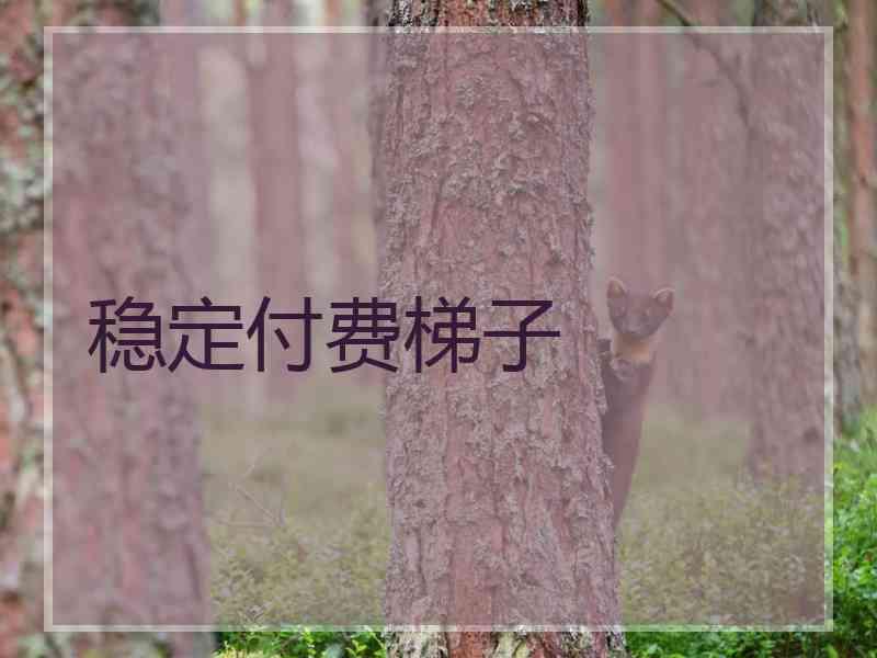 稳定付费梯子